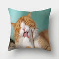 Cute Cat Print Cushion Cover for Sofa Decor by Ljojo