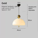 LED Pendant Light Stylish Chandelier Minimalist Home Decor Ljojo