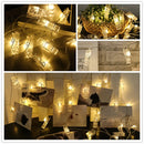 LED Photo Clip Fairy Lights for Holiday Decor by Ljojo